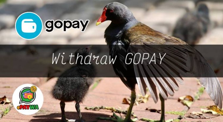 Withdraw GOPAY