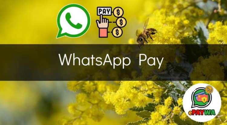 WhatsApp Pay