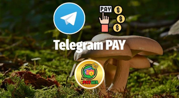 Guide Telegram Pay