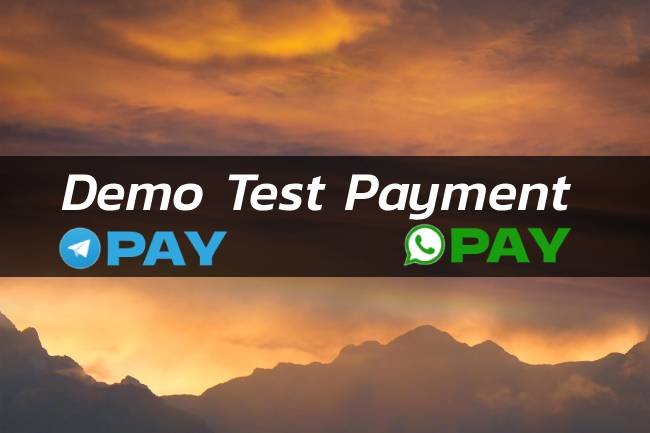 Demo Payment